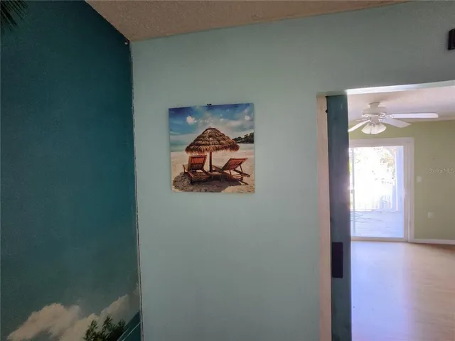 a view of a bench in the backyard