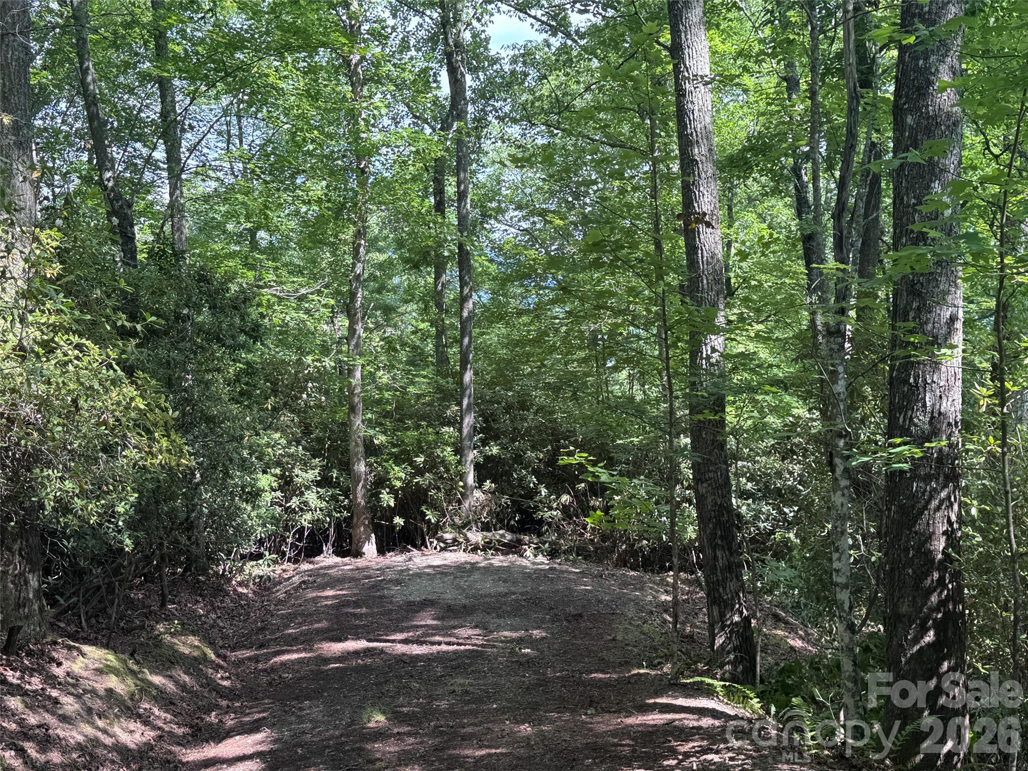 10 A Reserve Road Pisgah Forest, NC 28768 - Photo 24 of 33