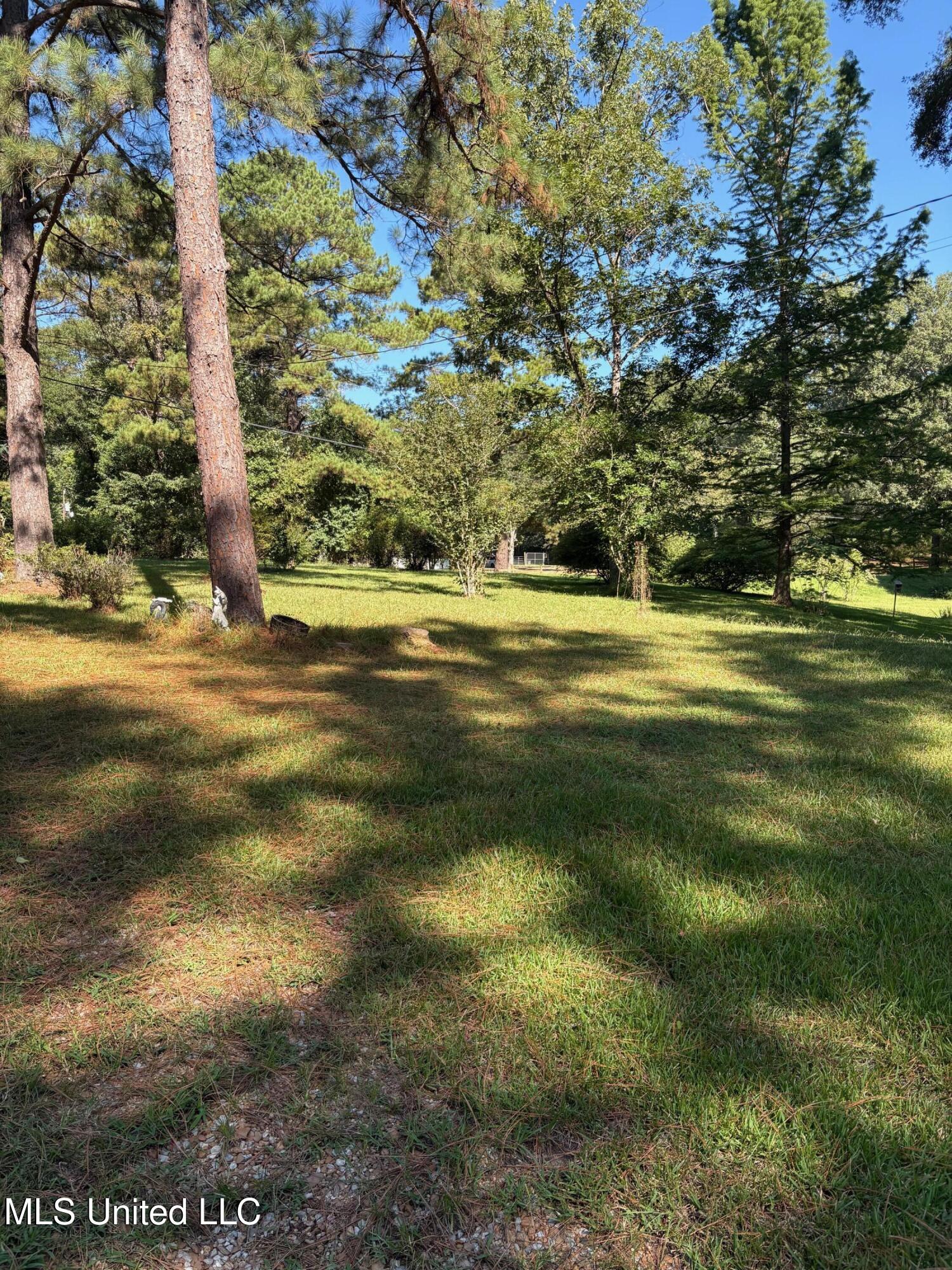 77 Magnolia Acres Road Natchez, MS 39120 - Photo 2 of 2 77 magnolia 2