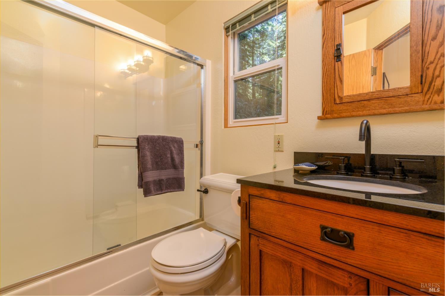 1101 River Beach Road The Sea Ranch, CA 95497 - Photo 21 of 34 a bathroom with a granite countertop toilet sink and mirror