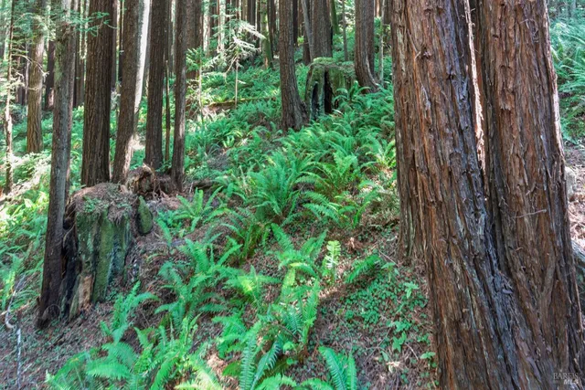 $1,000,000 | 1101 River Beach Road, The Sea Ranch, CA 95497