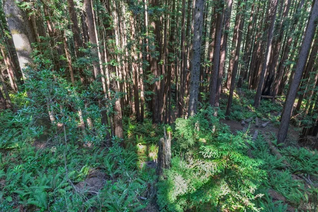 a view of a house with brick walls and potted plants