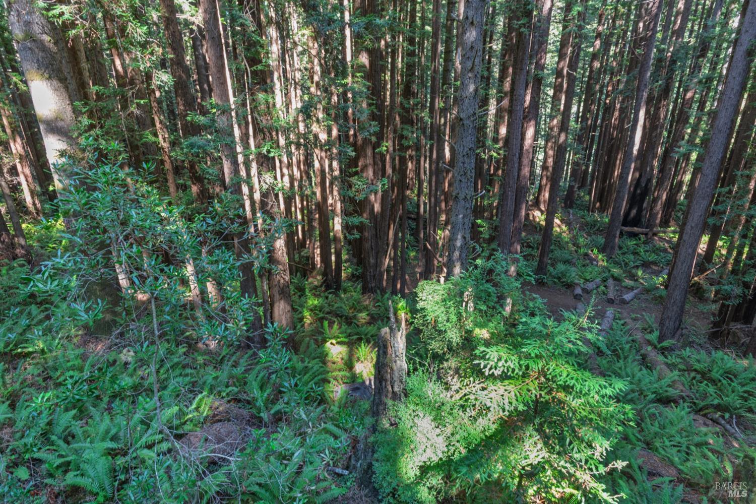 1101 River Beach Road The Sea Ranch, CA 95497 - Photo 24 of 34