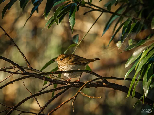 a backyard of a house