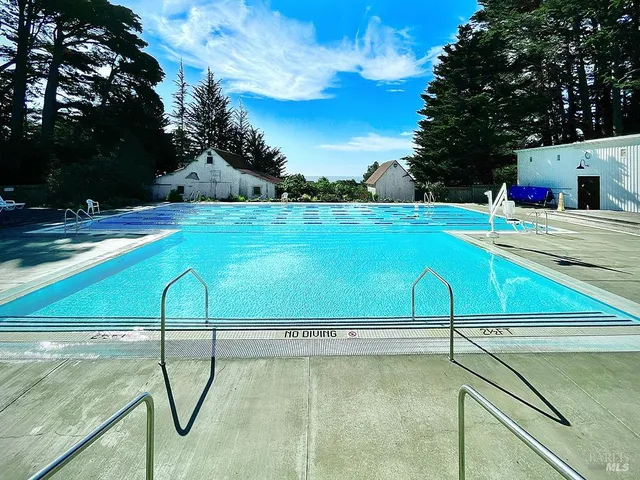 a view of a park with large trees