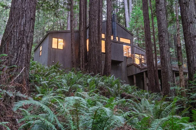 a view of a brick house with a small yard and large tree