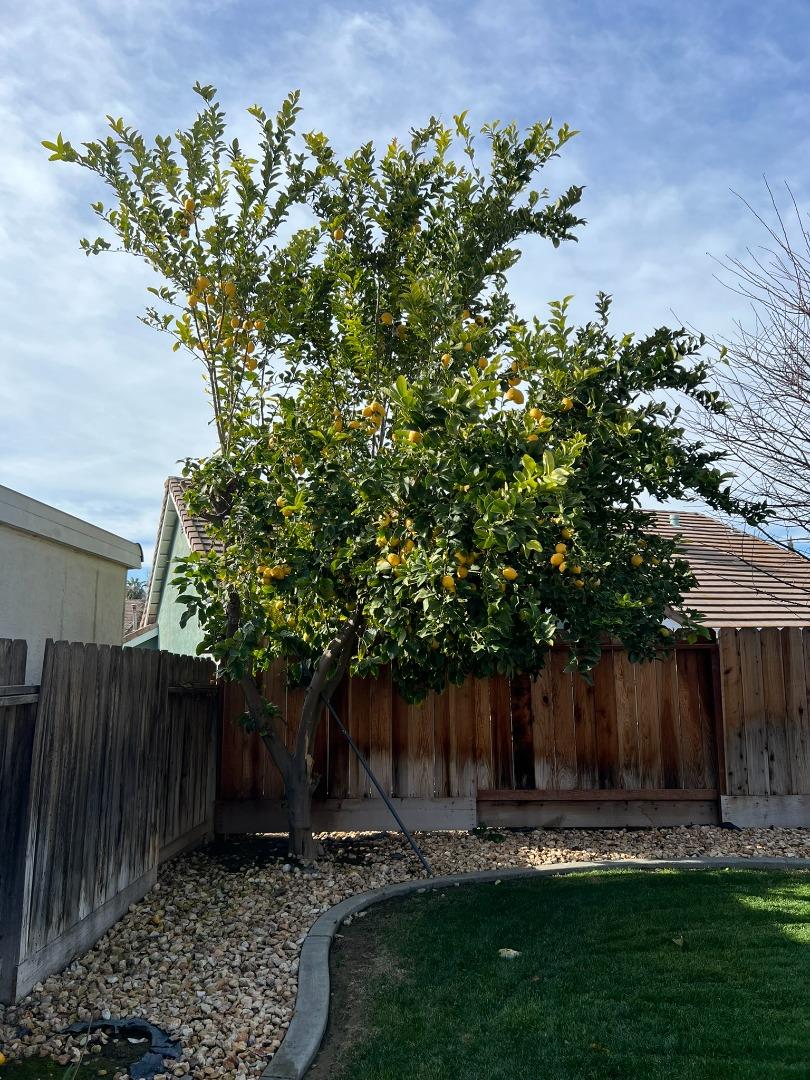 1867 Place Road Los Banos, CA 93635 - Photo 70 of 81 Gallery Image 70