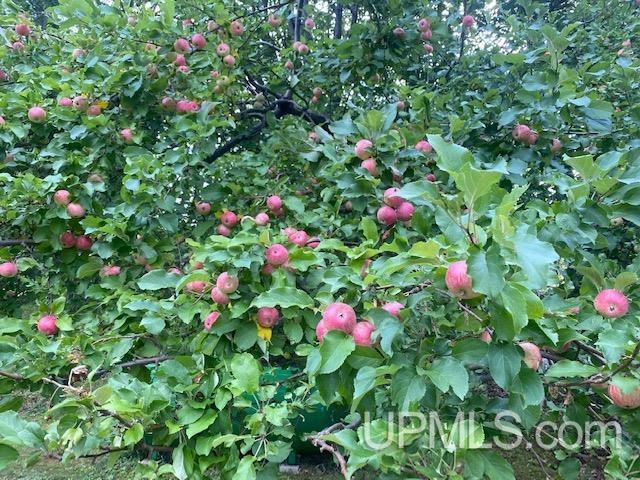 133 Buffalo Road Negaunee, MI 49866 - Photo 24 of 25 Gallery Image 24