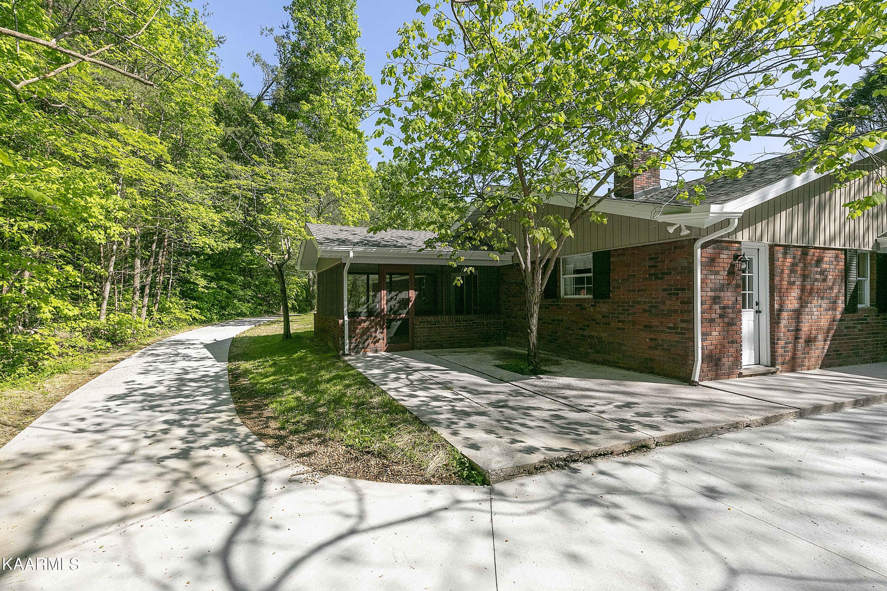 3915 Idumea Road Corryton, TN 37721 - Photo 37 of 39 Backyard