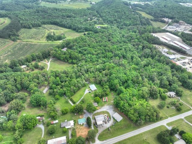 a view of a garden with a pathway