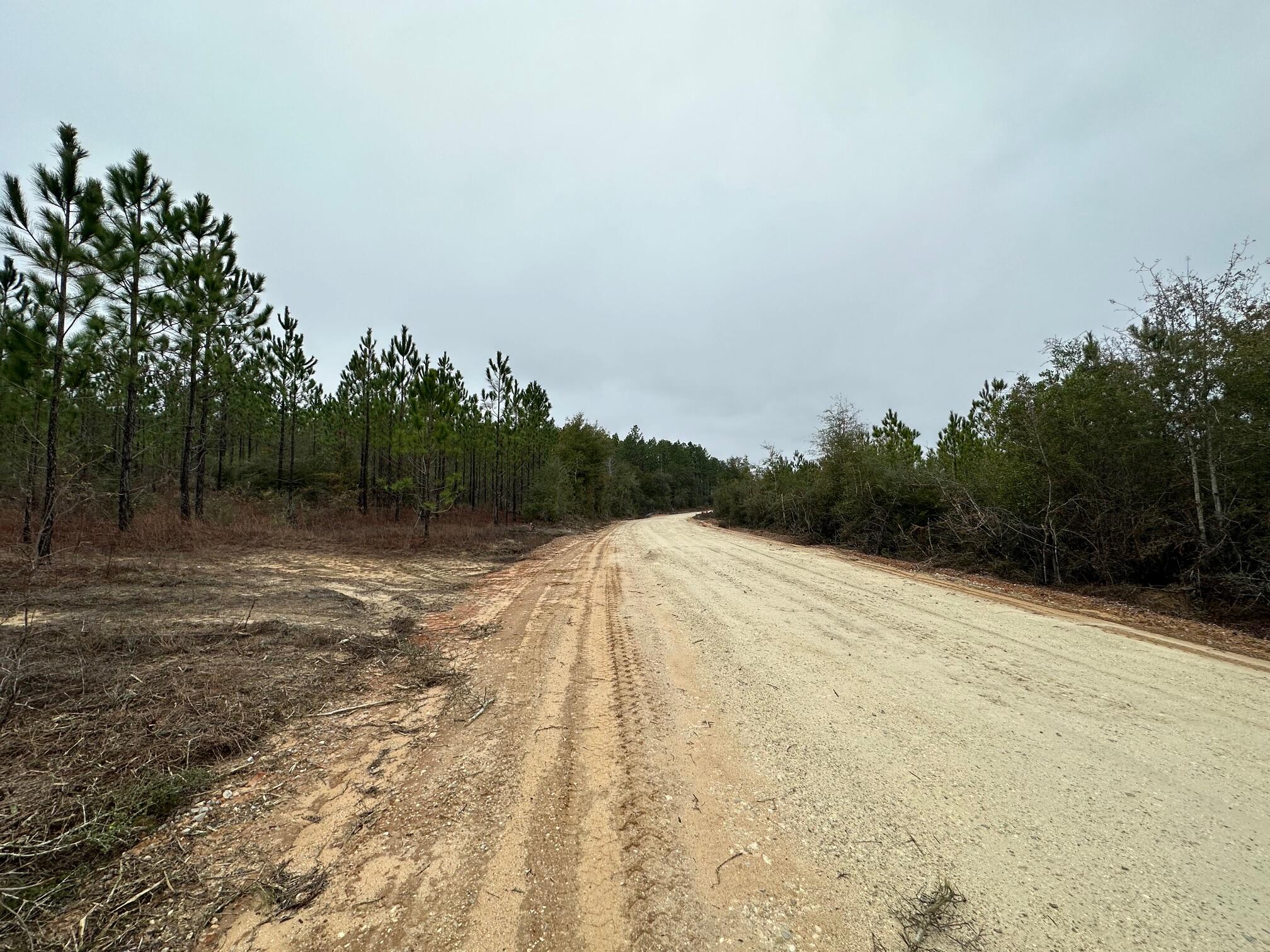 Tract#6418 South Mattox Springs Road, Unit S4 Caryville, FL 32427 - Photo 3 of 5 a view of a backyard of a house