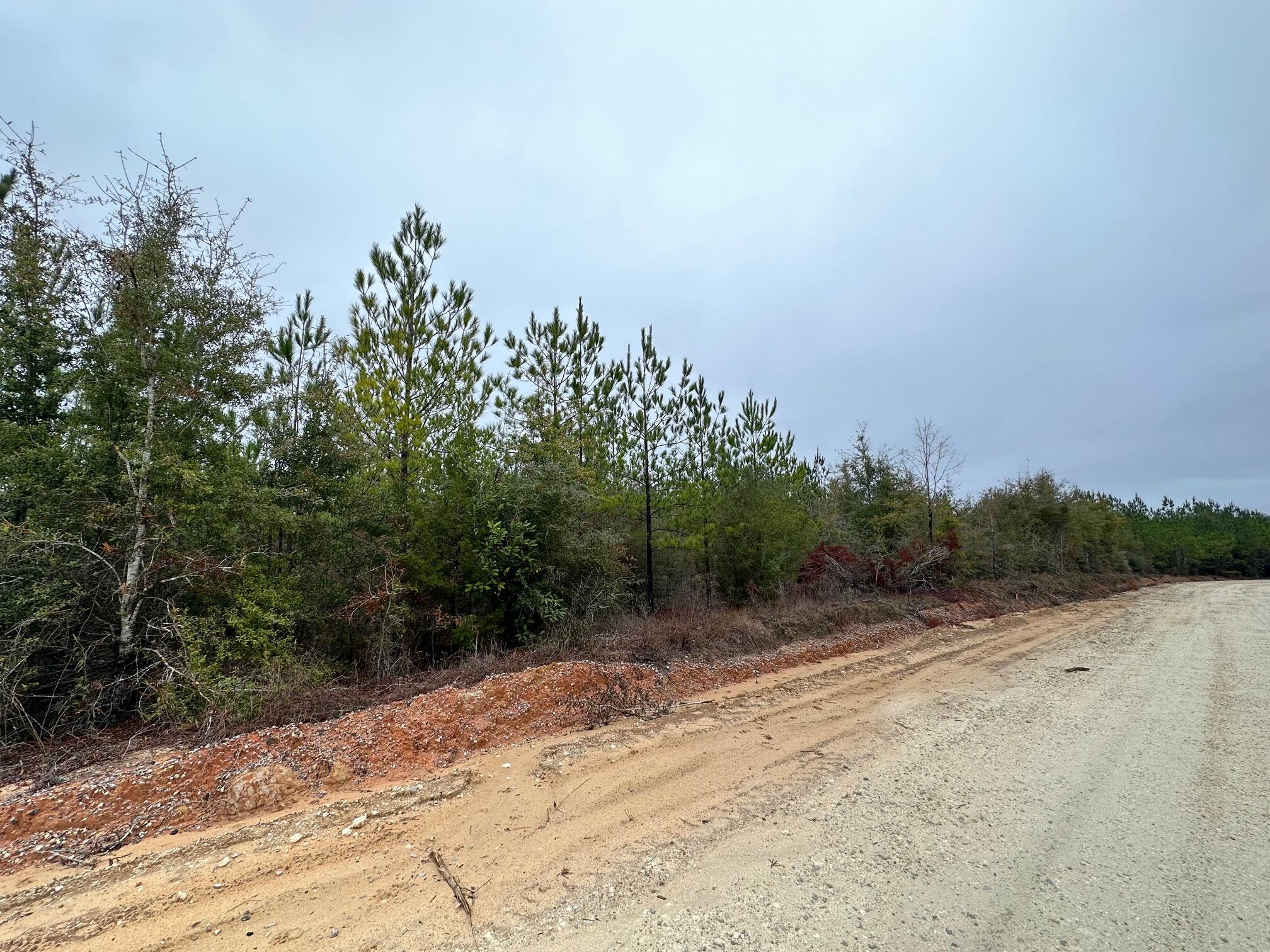 Tract#6418 South Mattox Springs Road, Unit S4 Caryville, FL 32427 - Photo 4 of 5 a view of a road with trees in the background