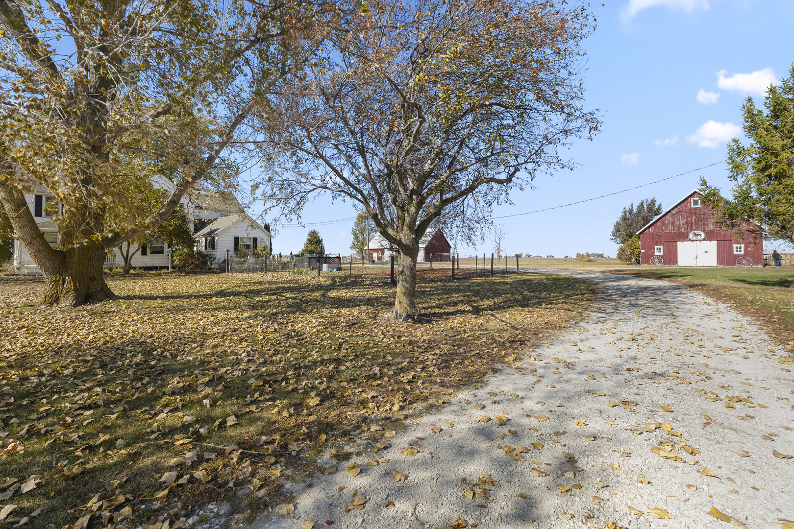 1624 East 1200 North Road Milford, IL 60953 - Photo 4 of 45 a view of yard with tree and cars