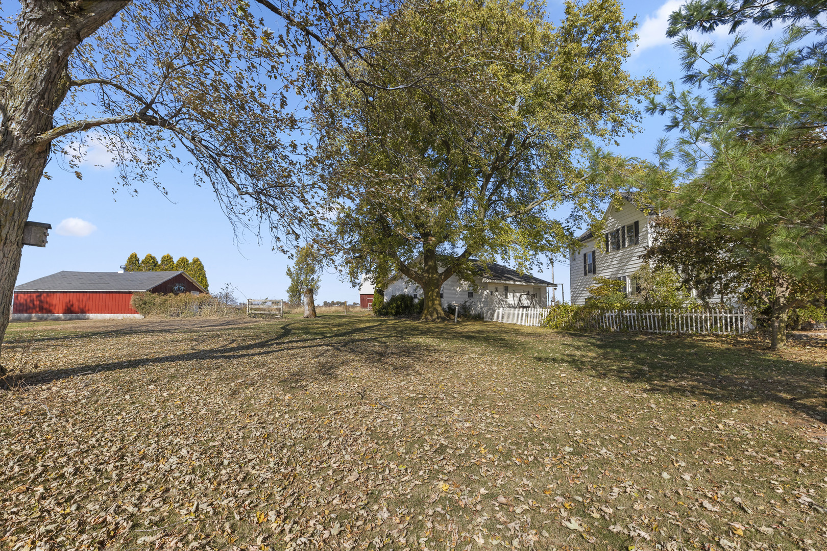 1624 East 1200 North Road Milford, IL 60953 - Photo 6 of 45 a view of a yard with a tree