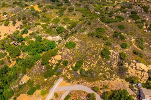 a view of a yard