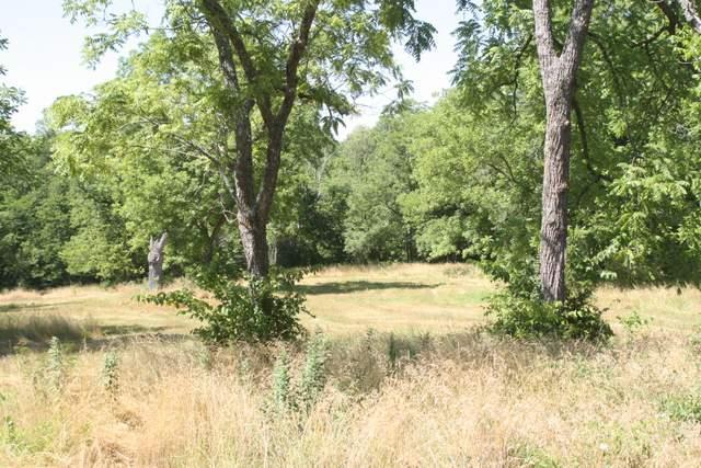 Lot 13 Holder Road Clever, MO 65631 - Photo 1 of 1 Primary Photo