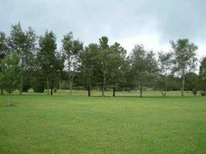 1247 Springlake Road York, SC 29745 - Photo 3 of 8 a view of field with tall trees