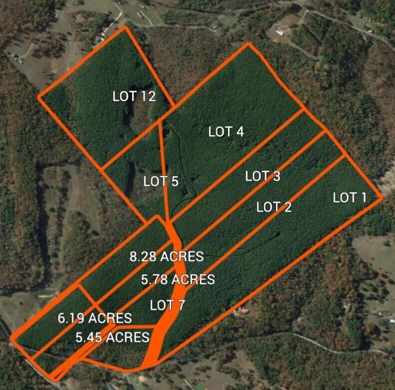 748 Arwine Road Decatur, TN 37322 - Photo 10 of 10