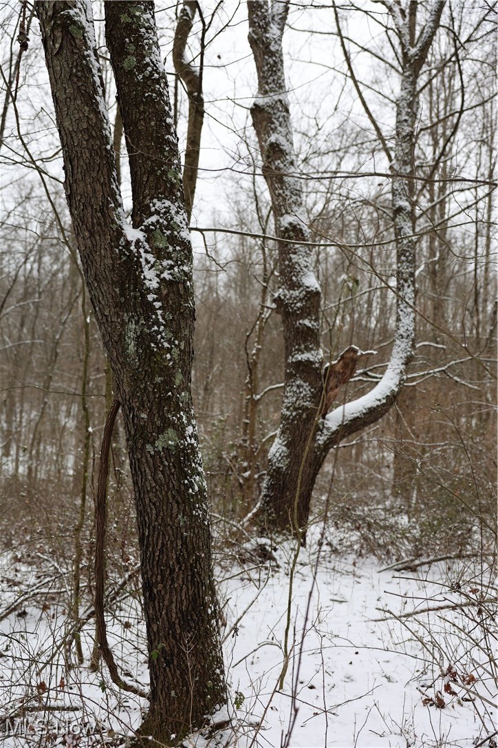 402 County Road Warsaw, OH 43844 - Photo 5 of 19 Snowy view