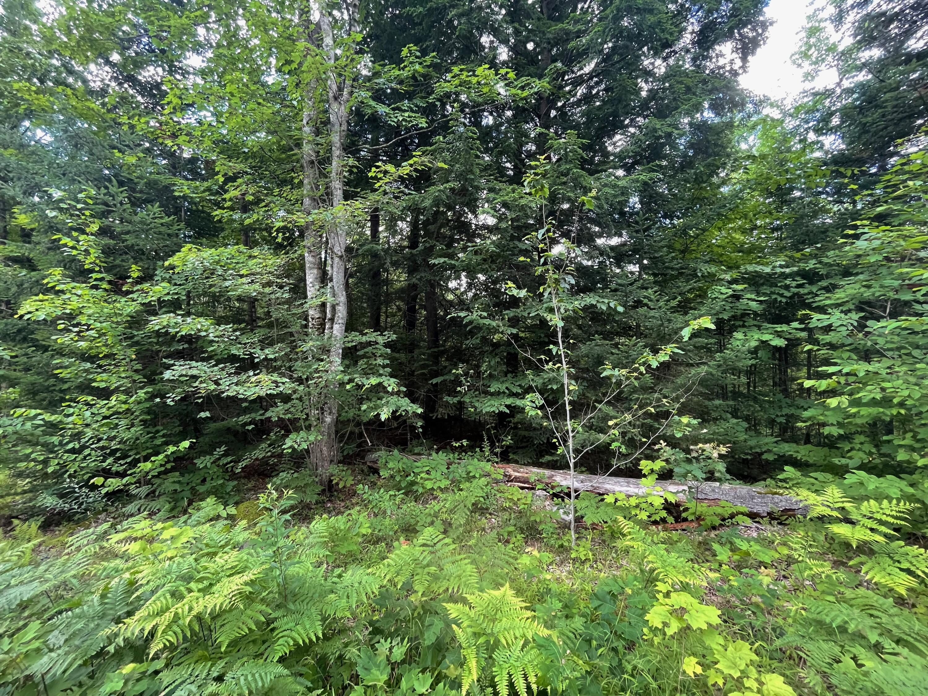 341 McDowell Road Washington, ME 04574 - Photo 6 of 11 IMG_7037