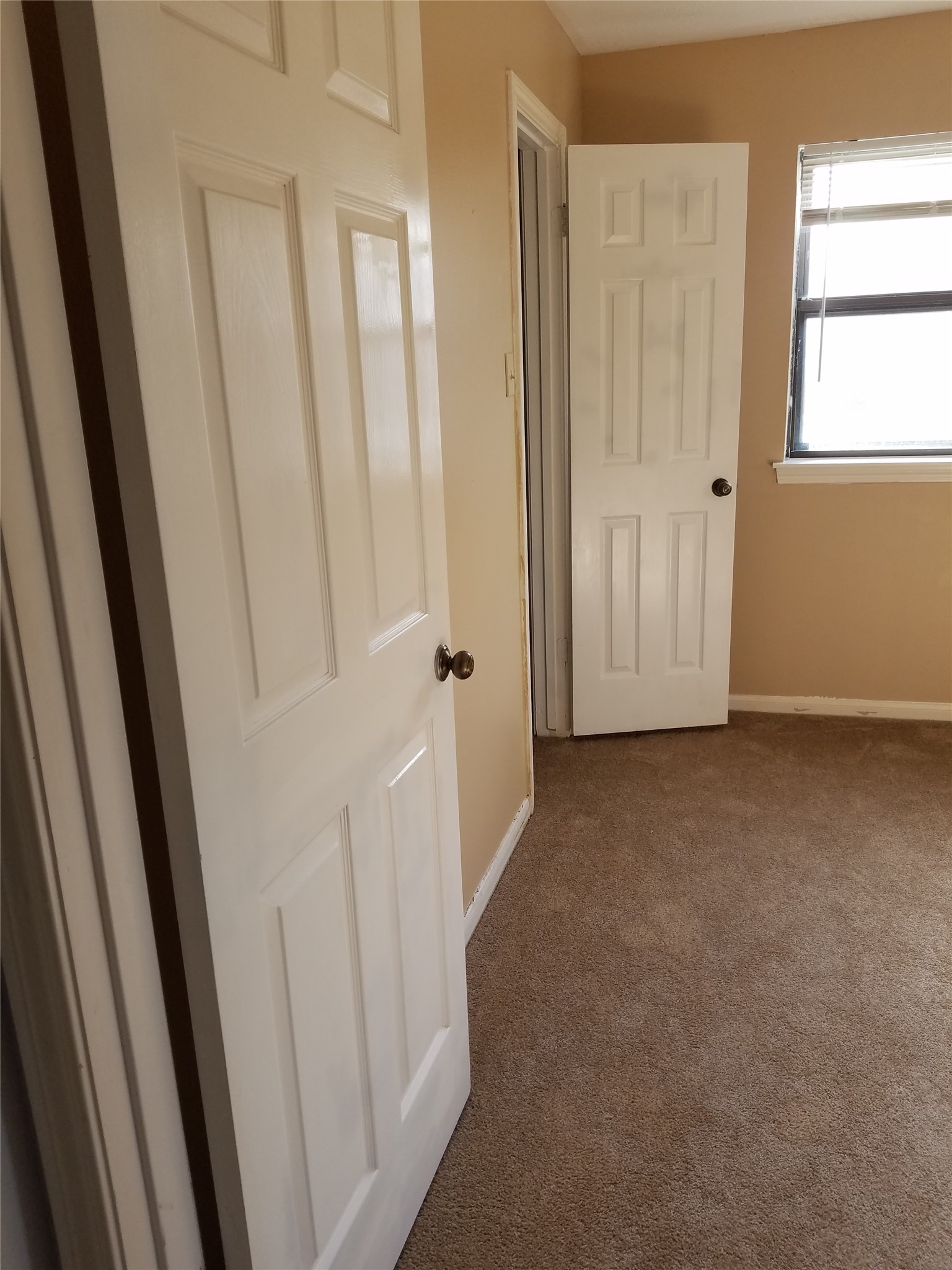 15526 Rio Plaza Drive Houston, TX 77083 - Photo 26 of 36