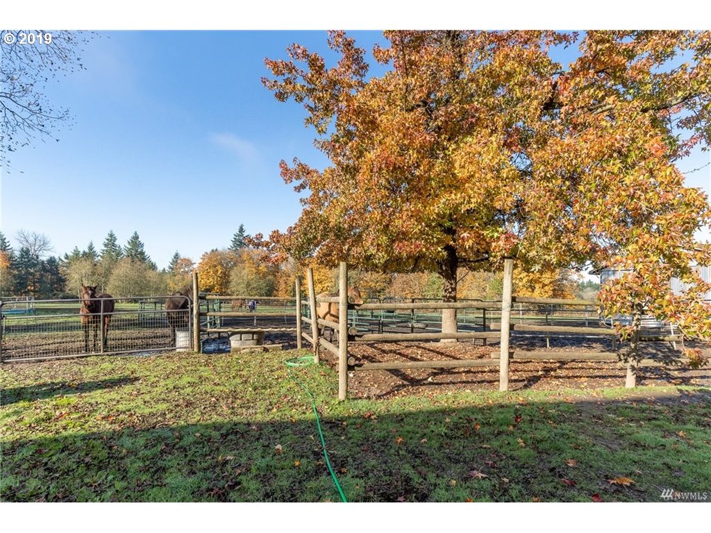 130 Brownlee Road Castle Rock, WA 98611 - Photo 10 of 14 Gallery Image 10