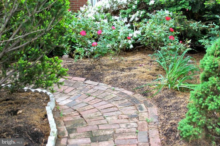 1216 Southview Road Baltimore, MD 21218 - Photo 14 of 27 landscape rear