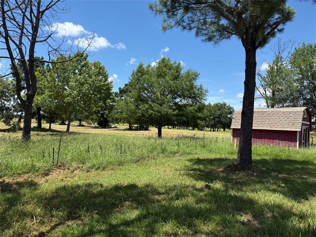 3016 County Road 4405 Commerce, TX 75428 - Photo 27 of 40 a view of green field with trees around