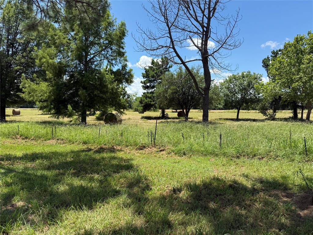 3016 County Road 4405 Commerce, TX 75428 - Photo 30 of 40 a view of large trees with a yard