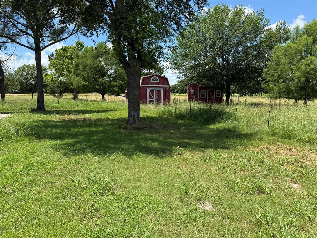 3016 County Road 4405 Commerce, TX 75428 - Photo 31 of 40 a view of a park that has large trees