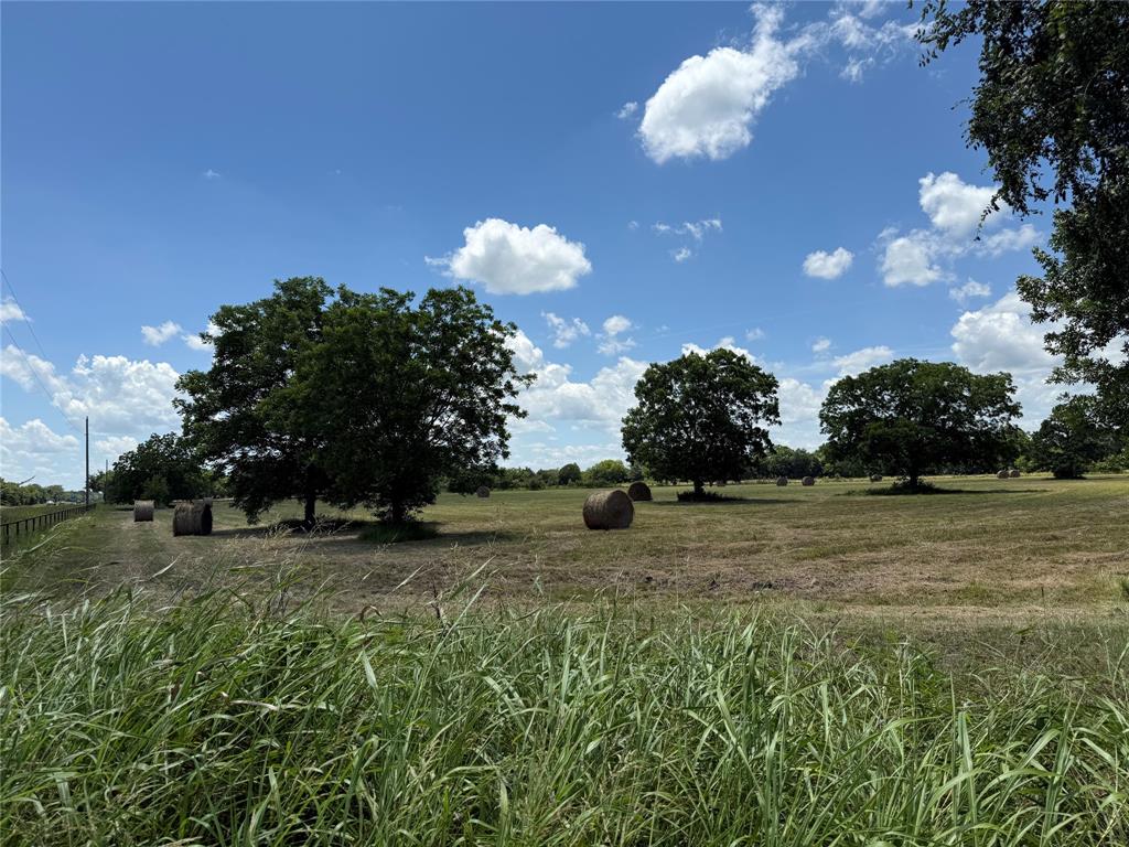 3016 County Road 4405 Commerce, TX 75428 - Photo 34 of 40 a backyard of a house with lots of green space