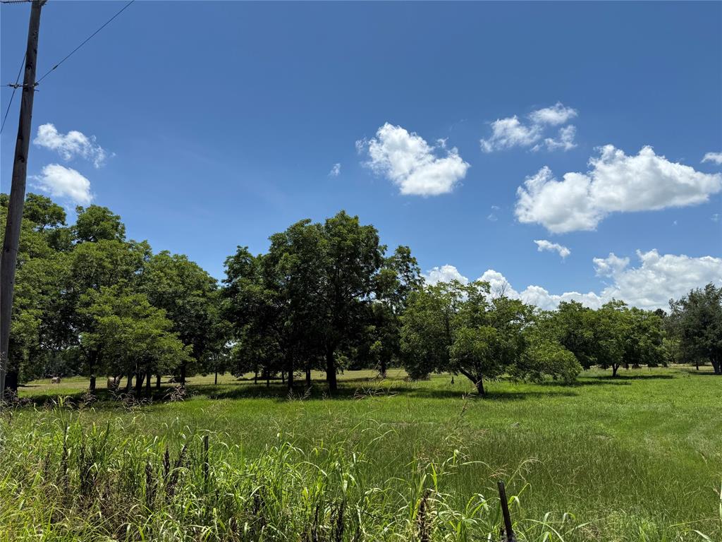 3016 County Road 4405 Commerce, TX 75428 - Photo 35 of 40 a view of a house with a big yard