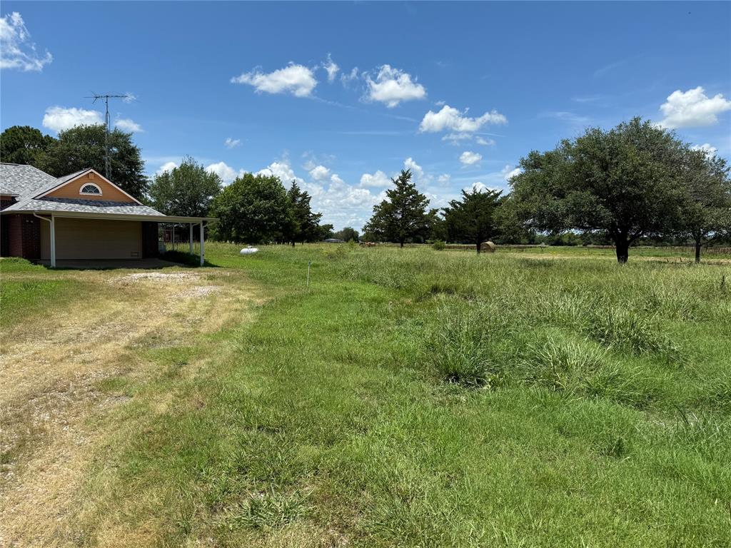 3016 County Road 4405 Commerce, TX 75428 - Photo 37 of 40 a view of a big yard with potted plants and large tree