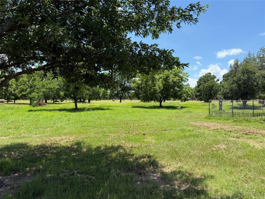 3016 County Road 4405 Commerce, TX 75428 - Photo 39 of 40 a view of a park with large trees