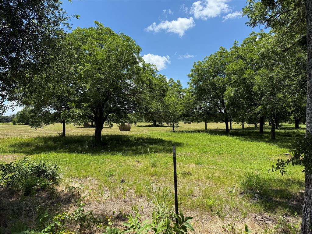 3016 County Road 4405 Commerce, TX 75428 - Photo 40 of 40 a view of a park