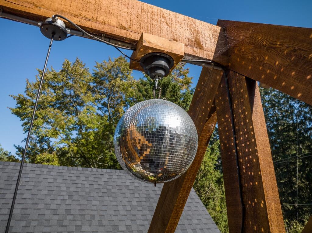 9617 Union Pier Road Union Pier, MI 49129 - Photo 71 of 86 Disco Ball