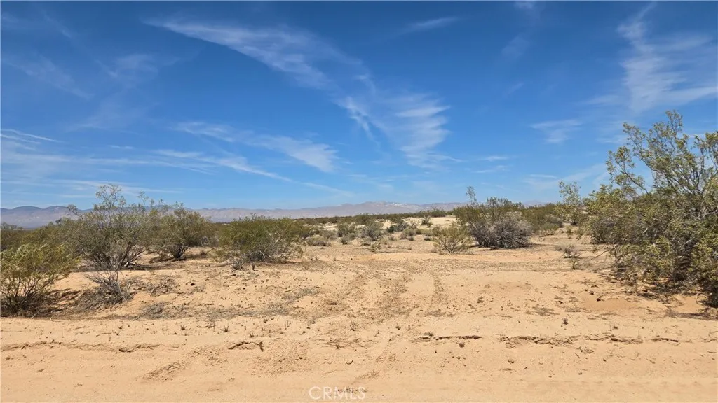 0 Randsburg Mojave Road Edwards, CA 93523 - Photo 19 of 41 a view of dirt yard with a tree