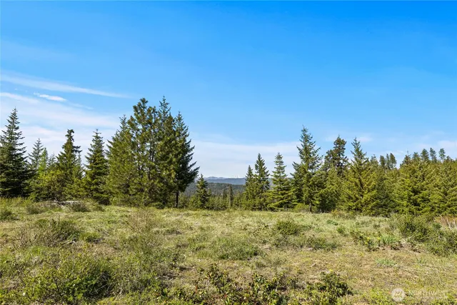 a view of a city with lush green forest