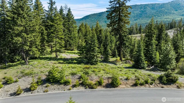 a view of a green field with lots of bushes