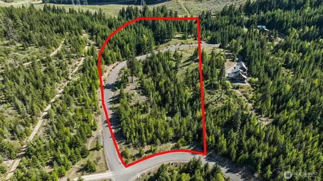 a view of a yard with plants and a trees