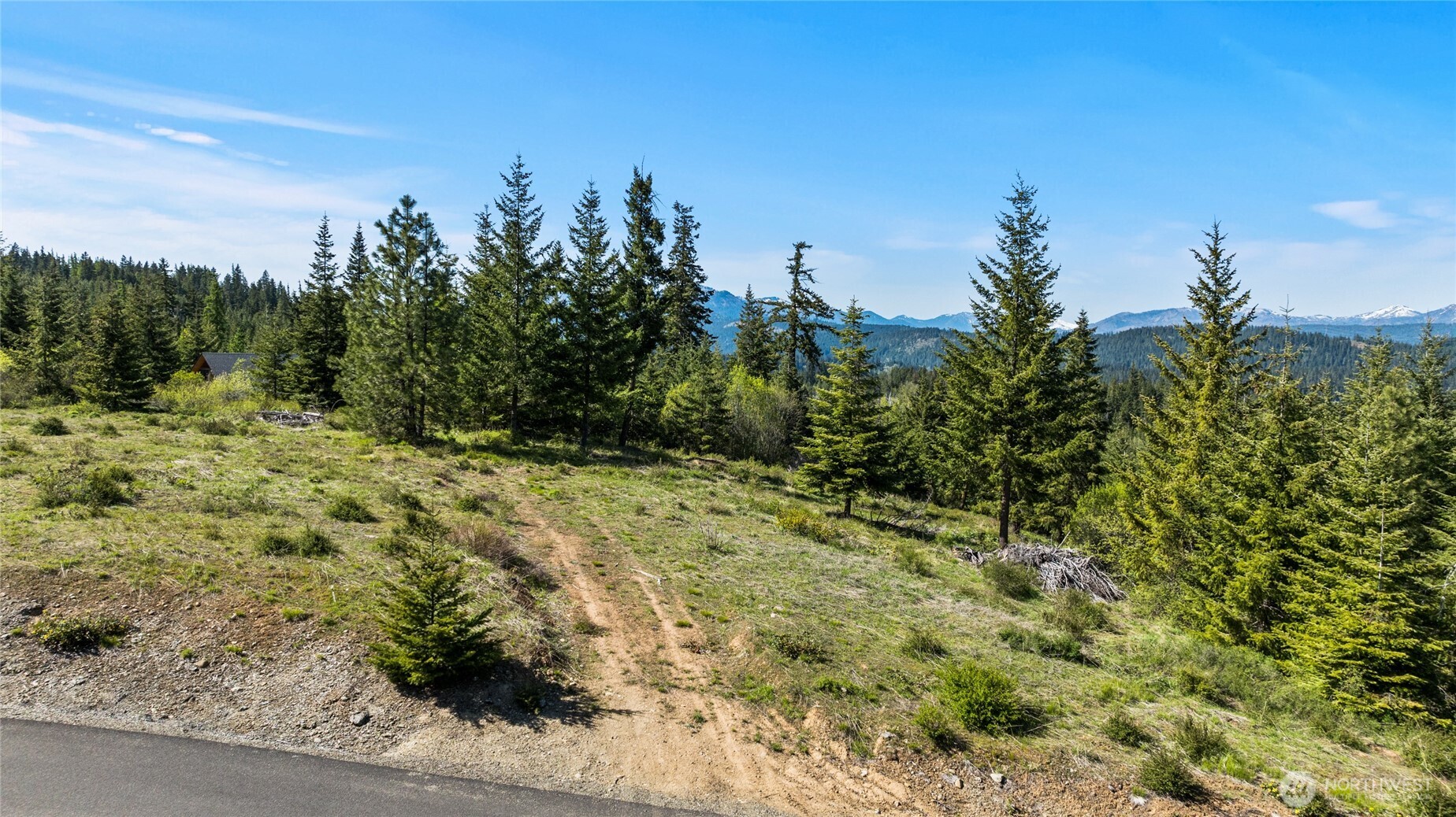 -xxxx Stone Ridge Drive Cle Elum, WA 98922 - Photo 19 of 22 a view of a yard with plants and a trees