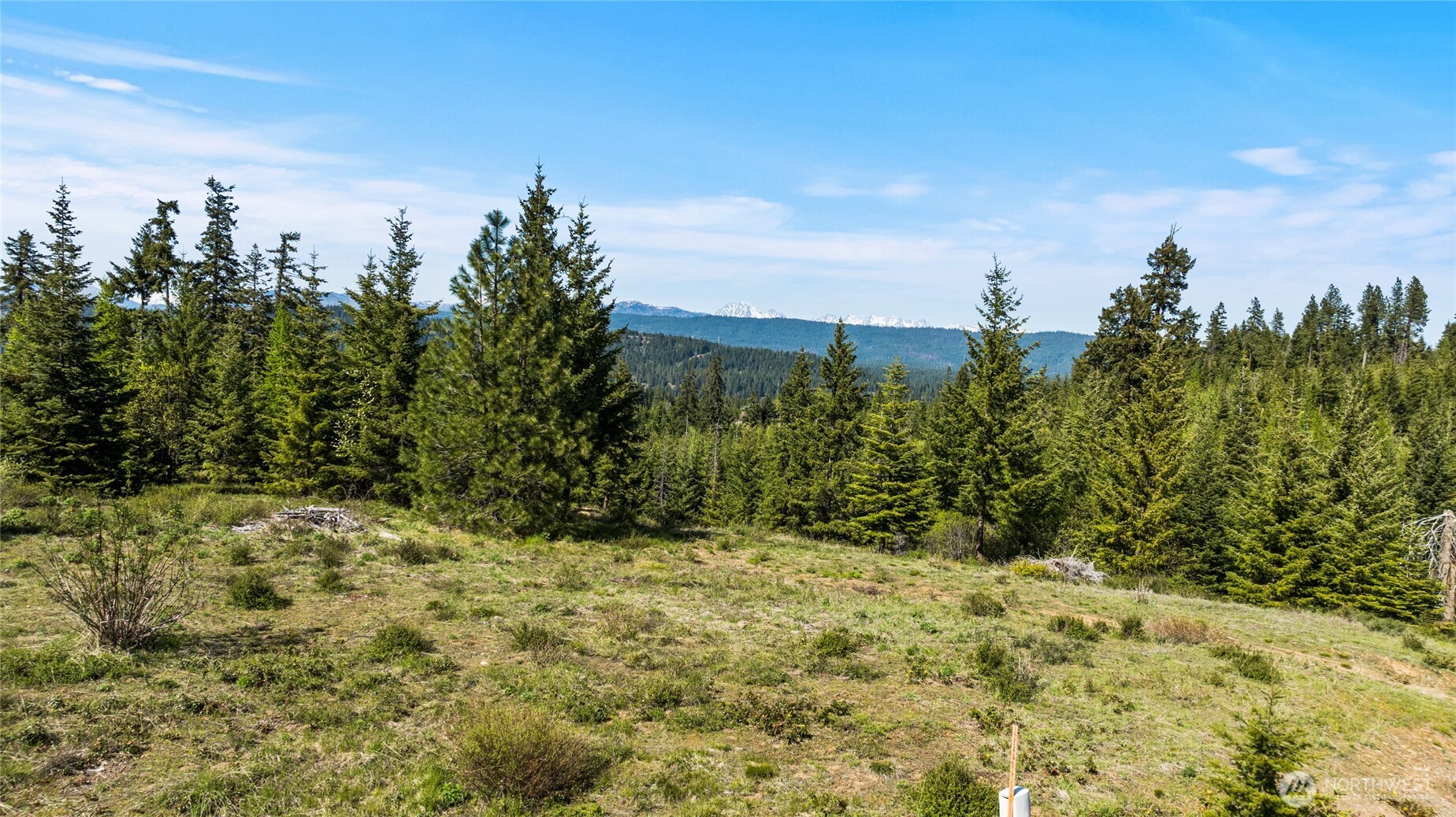-xxxx Stone Ridge Drive Cle Elum, WA 98922 - Photo 20 of 22 a view of a yard with a tree