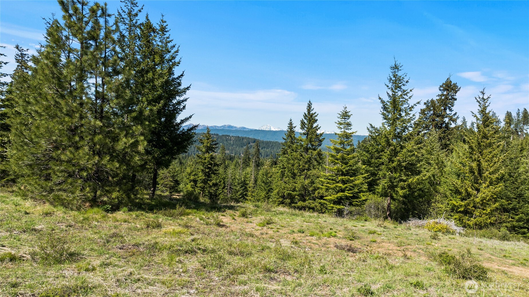 -xxxx Stone Ridge Drive Cle Elum, WA 98922 - Photo 21 of 22 a view of a yard
