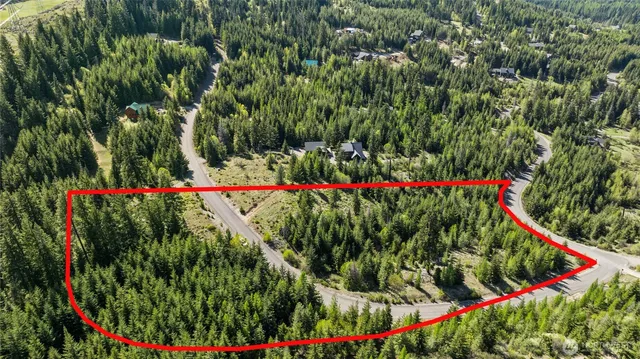 a view of a large yard with plants and large trees