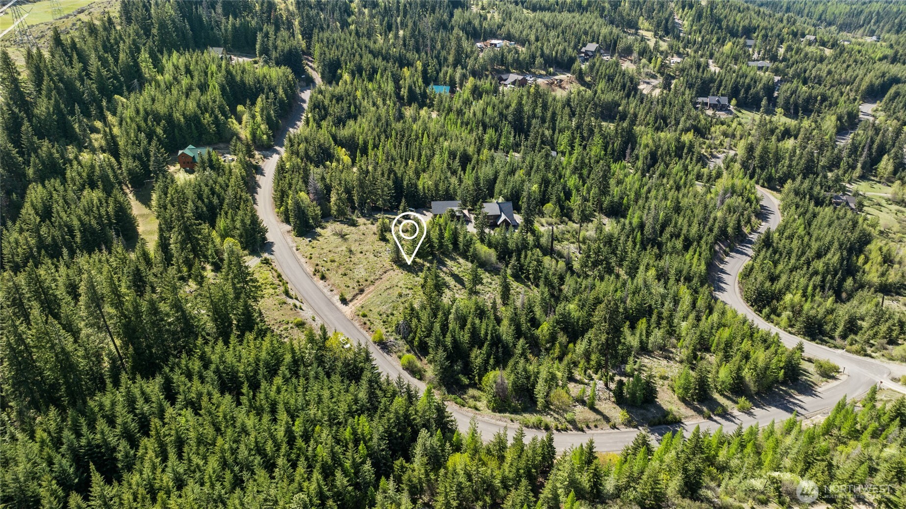 -xxxx Stone Ridge Drive Cle Elum, WA 98922 - Photo 5 of 22 a view of a large yard with plants and large trees