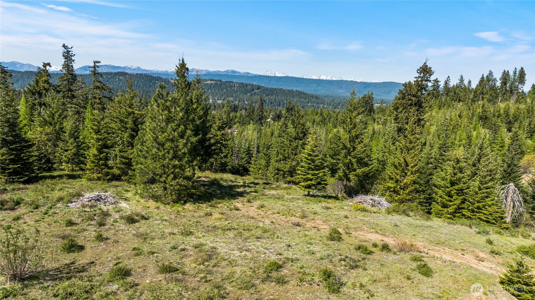 -xxxx Stone Ridge Drive Cle Elum, WA 98922 - Photo 8 of 22 a view of a bunch of trees