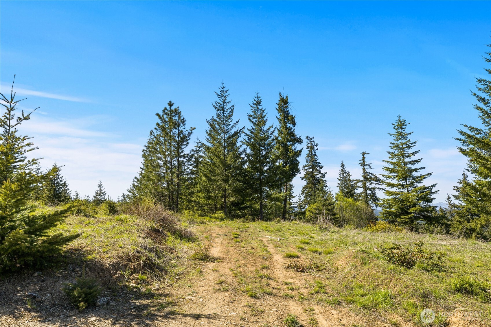 -xxxx Stone Ridge Drive Cle Elum, WA 98922 - Photo 10 of 22 a view of a yard