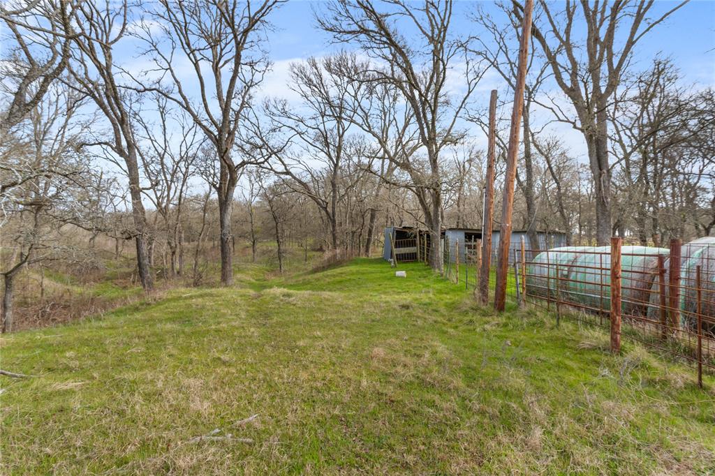 1447 Red Gate Road Mart, TX 76664 - Photo 13 of 38 a view of a backyard with a tree