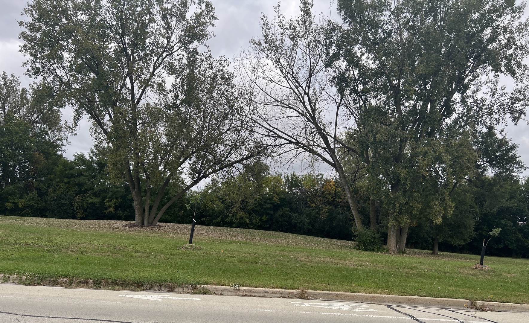 12026 South Kildare Avenue, Unit 16 Alsip, IL 60803 - Photo 38 of 38