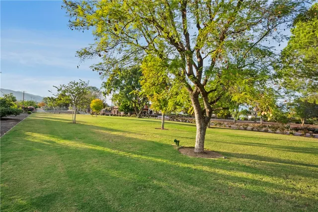 a living room with furniture a chandelier and a fireplace